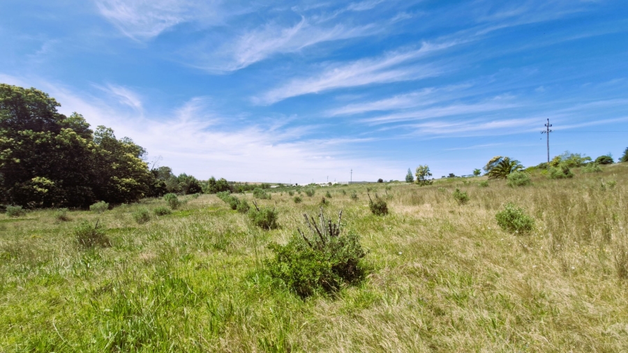 Commercial Property for Sale in Napier Western Cape